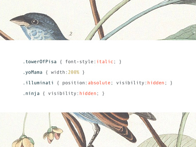 Classy Code Jokes audubon audubon birds birds blog post module code jokes code module code syntax css html longform blog post vintage birds website design