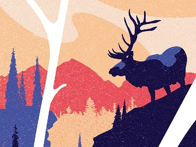 Colorado Pt.II colorado elk mountain tree