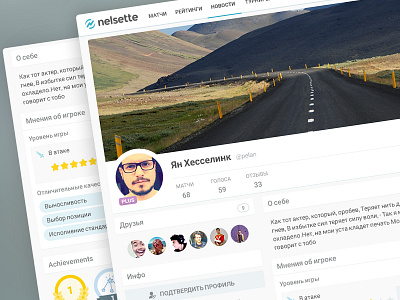 Player's Profile badge cover interface player profile stats ui ux web