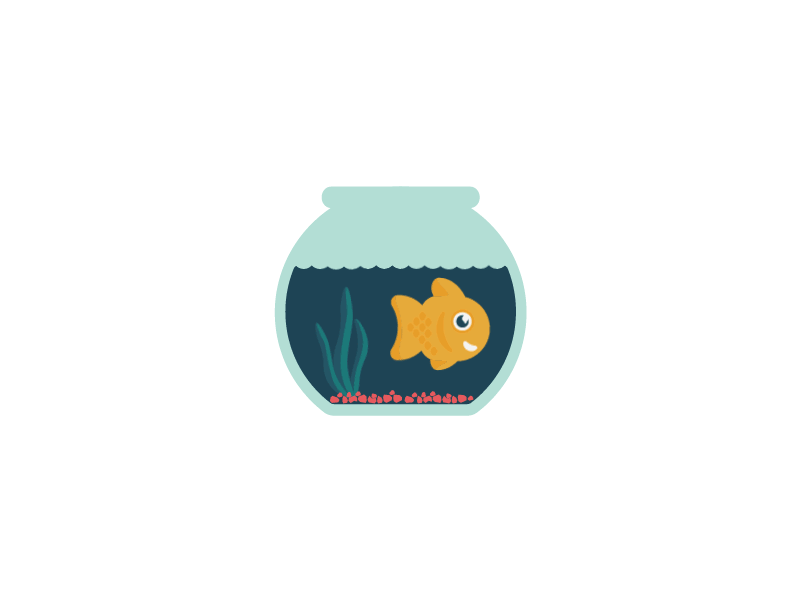 Fish Bowl after effects animate animation bowl fish fishbowl motion motion design preschool