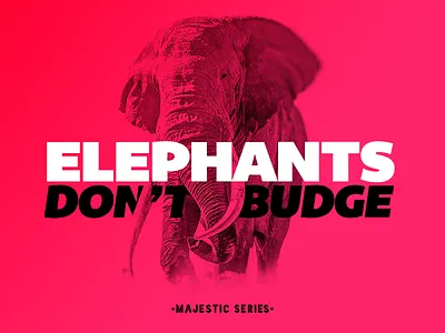 Elephants Don't Budge animal elephant majestic type