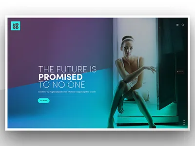 Mood Landing Slideshow colors landing page slideshow wordpress theme