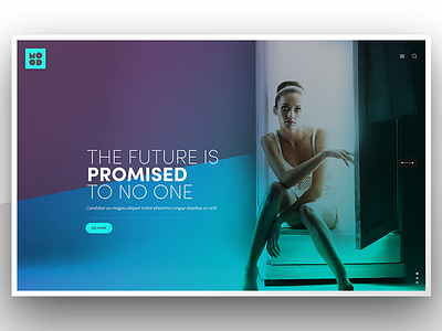 Mood Landing Slideshow colors landing page slideshow wordpress theme