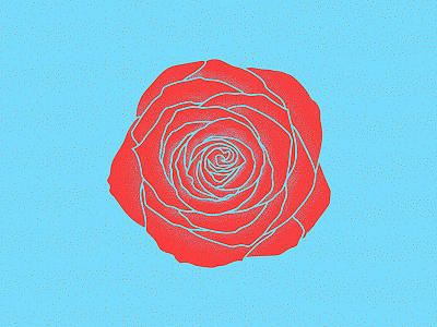 Rose design graphic design illustration