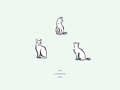 More Discerning Pets cats illustration pets