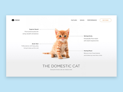 Daily UI #003 - Landing Page 003 cat clean dailyui landing page minimal web white