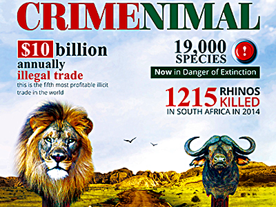 Crimenimal Flyer animal abuse danger extinction endangered species fight poaching fundraising flyer nature photomanipulation raise awareness save animals sos help volunteer campaign wild habitat wildlife crime