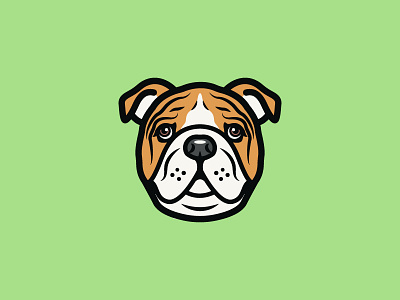 Dog dog illustration