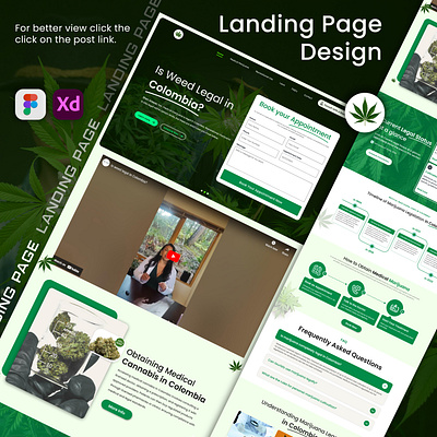 Landing Page Design(Is weed Legal in Colombia) coding figma landing page marijuana landing page medical landing page user experience user interface web web develop website design website development weed landing page wordpress