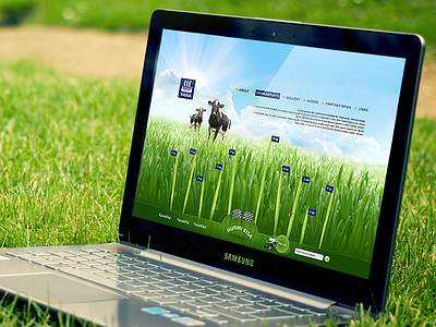 Nurmikisa grass growing competition microsite microsite webdesign yara