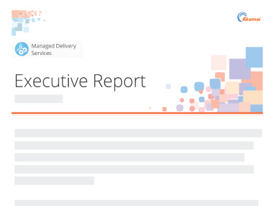 Exec Report pdf report