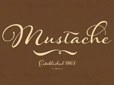 Hummingbird calligraphy font lettering ornaments typeface typography
