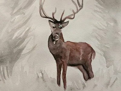 Deer study watercolor