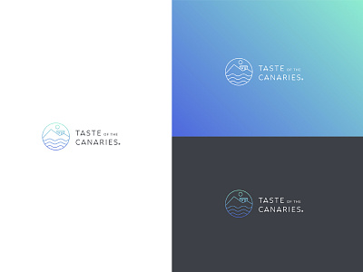 Taste of the Canaries brand branding canary islands house rental logo logo design logotype mark symbol taste
