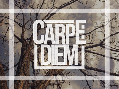 Carpe diem