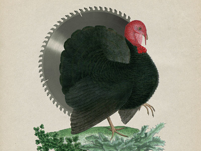 12 Saw3 bird collage saw strng vintage