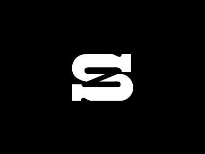 ZS logo logotype typography