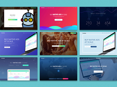 Landing Page 2016