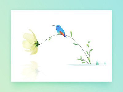 A hummingbird a hummingbird