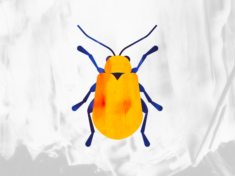 Creepy Crawly animation beetle blue crawly creepy orange paint vector