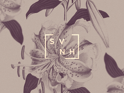 Savannah Brand brand branding logo minimal nature product type vintage