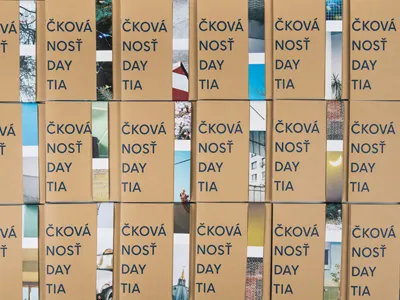 Rareness Of Everyday Being artbook book graphic design photography photography book print publishing