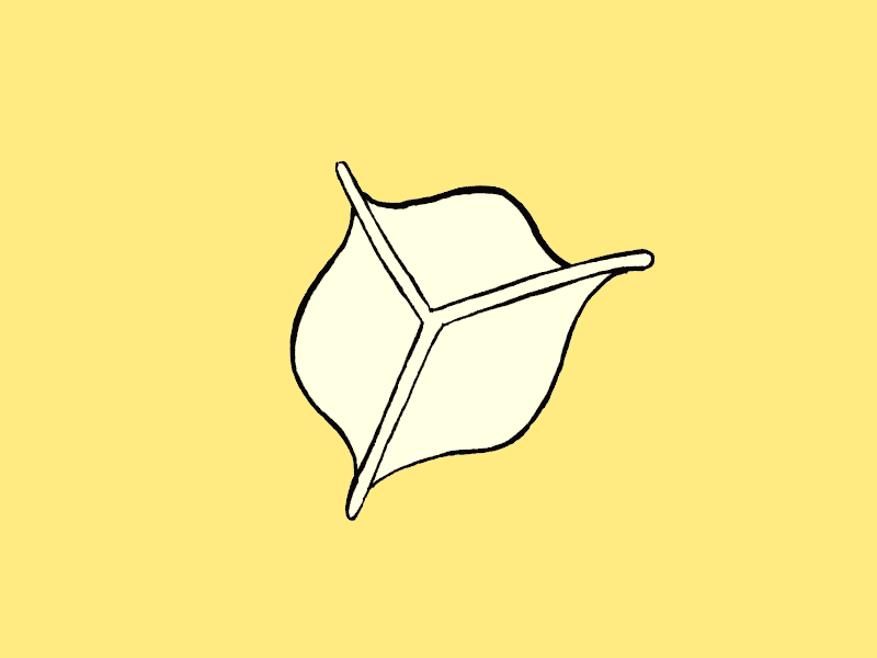 Dumpling - Yauatcha / TOAST animation dim sum dumpling gif illustration toast yauatcha yum cha