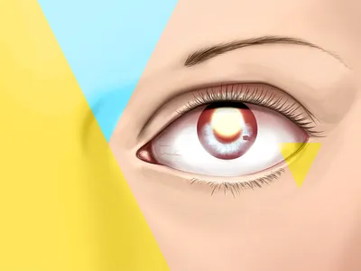 Rise of the phoenix - eye artificial digital digital painting eye illustration phoenix story triangles