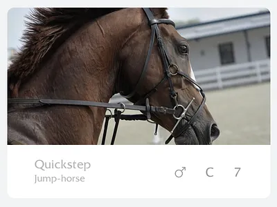 Horse Card box clean horse light simple ui web white