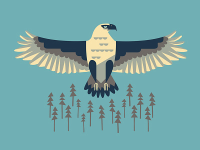 Eagle Shirt eagle