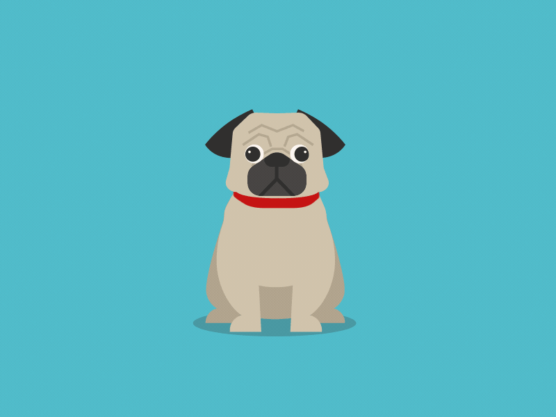 Pug dog gif head tilt pug