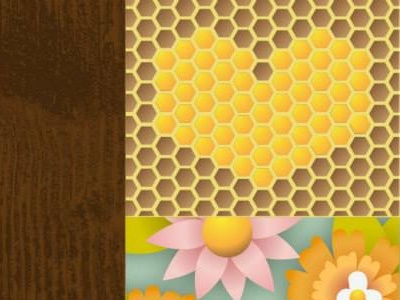 5251303876925636016 N