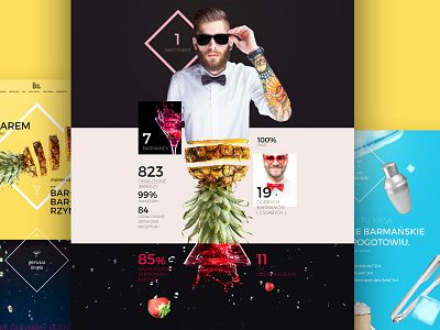 Barmans website bar drink fruit fun one page web design