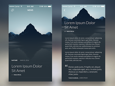 News App app blog design ios iphone mobile mockup nature news ui