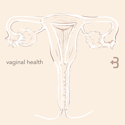 Vaginal Health_Social Media Series digital painting illustration