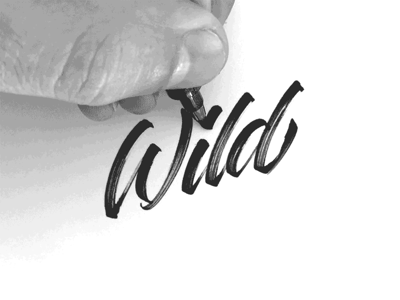 Wild brush pen logo calligraphy lettering process script wild