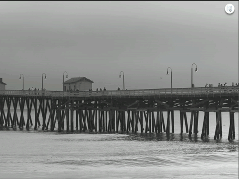 Animated Split Overlay animation codepen css grid html5 overlay