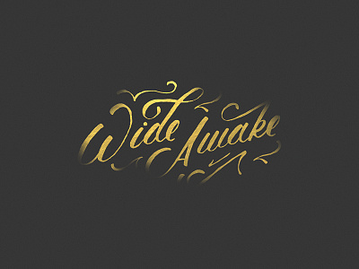 Wide Awake Script beautiful debut goodtype graphic design handlettering lettering script stamp typography vintage