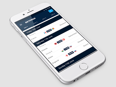Euro 2016 Football Results Container App android app ios material design material lite responsive results