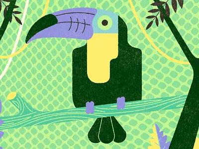 Toucan amazonian animal brasil jungle latin south america toucan