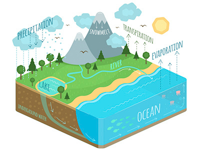 Water Cycle Diagram cycle environment evaporation lake land landscape ocean precipitation rain river transpiration water