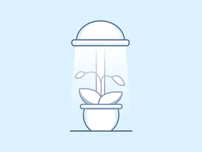 Hydroponics grow growth hydroponics light mineral plant roots water