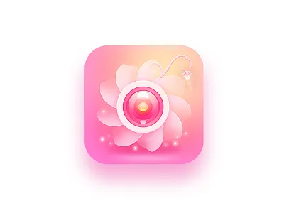 Camera icon