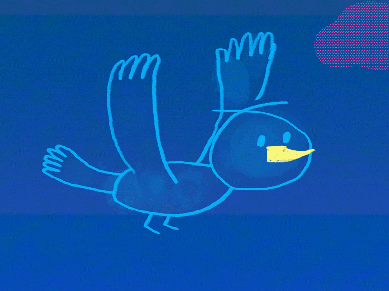 Bird Test animation gif photoshop