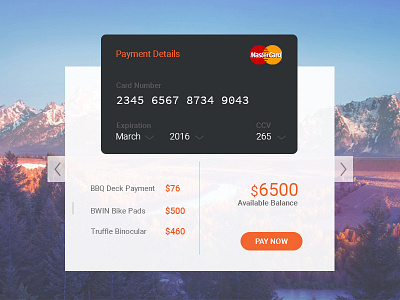 Credit Card Details Concept