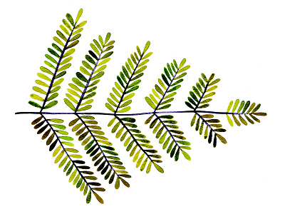 Leaflets