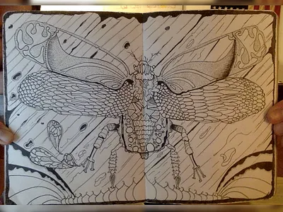 Buggin bugs fly illustration micron organic