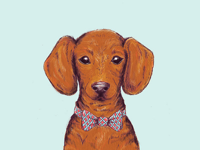 Alan bow tie digital painting dog sausage