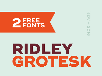 Ridley Grotesk #1 design font type typeface typography