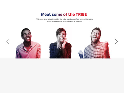 Meet the team